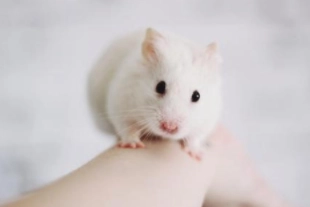 1579939176937333.png image.png