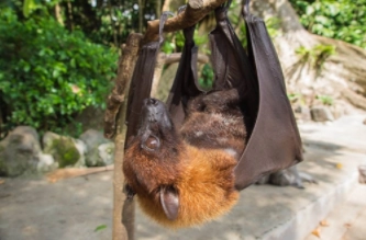 1580708049235722.png image.png