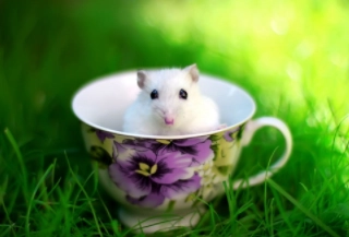 1579939188441284.png image.png