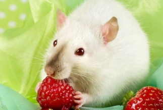 1579939182202036.png image.png