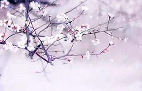 1578992434339953.png image.png