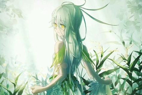 1578992443888415.png image.png