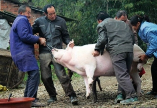 1578923218410850.png image.png