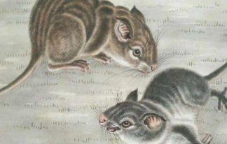 1578064206607413.png image.png