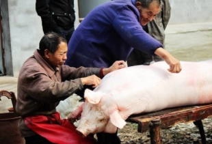 1578923207405413.png image.png