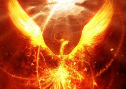 1593409989929286.png image.png