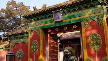 1666938100110502.png 图片.png