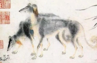 1579094728208052.png image.png