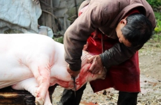 1578923213650385.png image.png