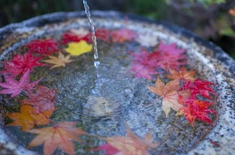 1577864489570844.png image.png