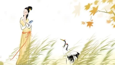 1667446851559557.png image.png