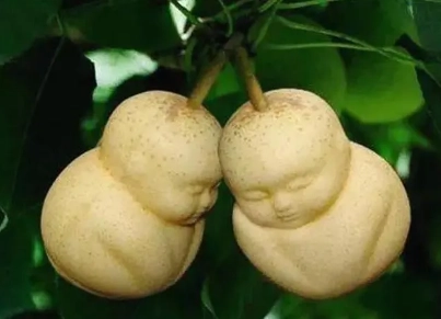 1680412036617969.png image.png