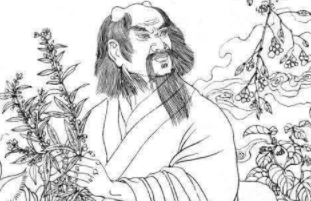 1581494526504816.png image.png