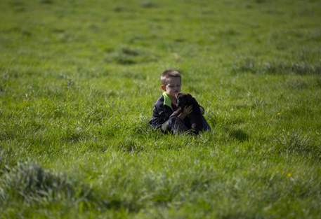 1577153424984269.png image.png