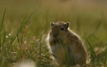 1580448770302883.png image.png