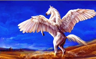 1580450567291230.png image.png