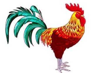 1580450576239603.png image.png