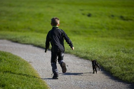 1577153420140006.png image.png