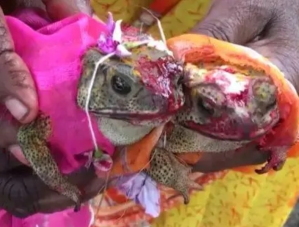 1717465432995932.png image.png