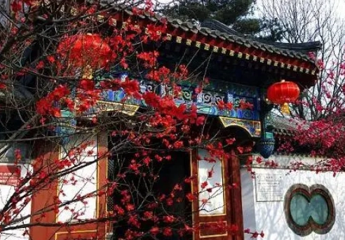 1680234108749370.png image.png