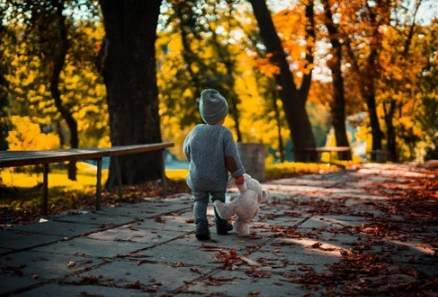 1575516287934367.png image.png