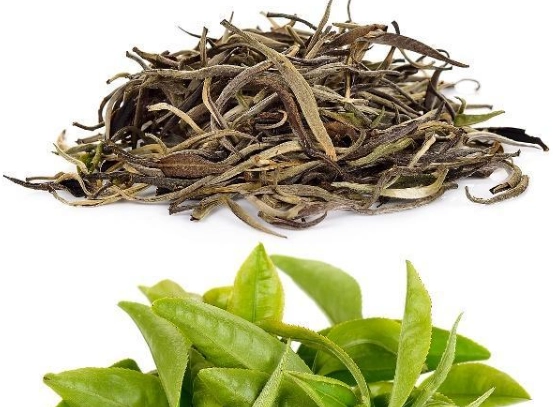 1576139799650861.png image.png