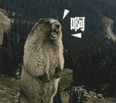 1576482266298287.png image.png