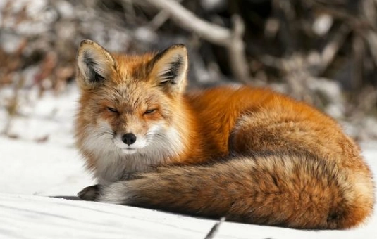 1577950147760699.png image.png