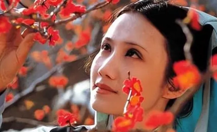 1679971841493772.png 图片.png