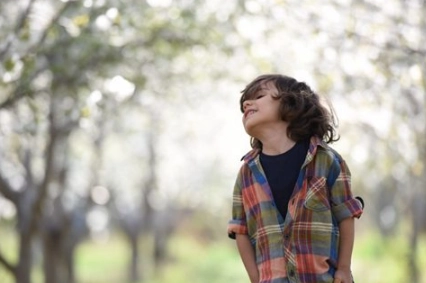 1575531060183427.png image.png