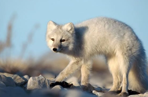 1577950151898587.png image.png