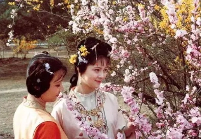 1679975988888151.png image.png