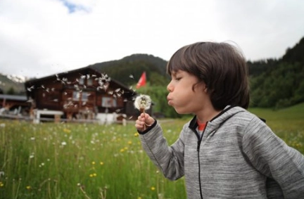 1575531064388007.png image.png