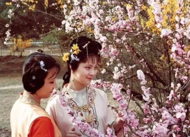 1679975865589183.png image.png