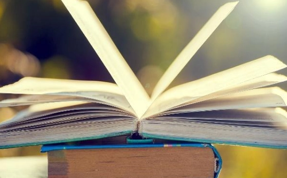 1576121936106838.png image.png