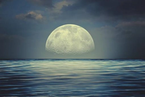 1576137877944057.png image.png