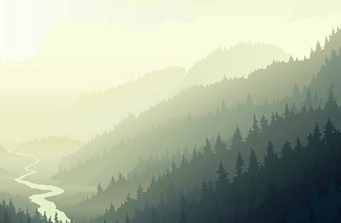 1576205440426457.png image.png