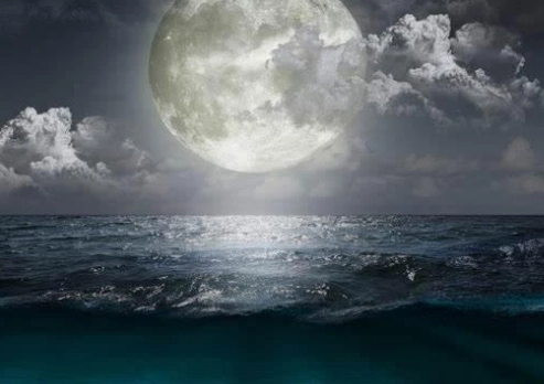 1576137874654732.png image.png