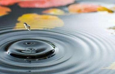 1576137864394820.png image.png