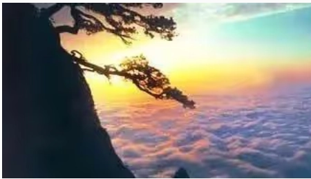 1693380984768843.png image.png