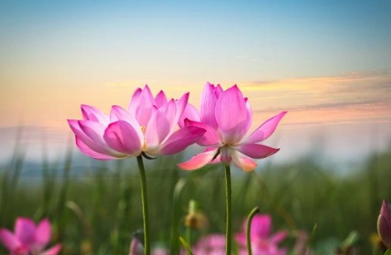 1573465484521680.png image.png