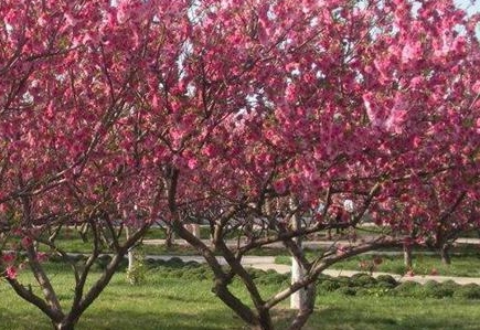 1576128676806961.png image.png