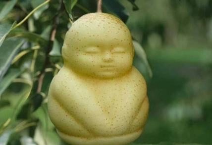 1575359855558129.png image.png