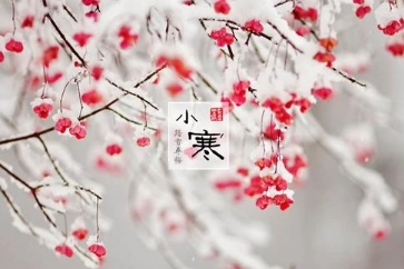 1571278213741374.png image.png