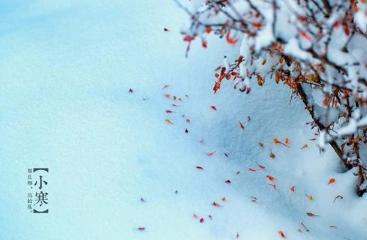 1571278204649795.png image.png