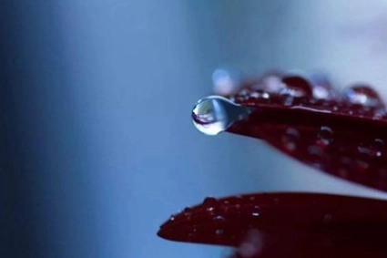 1570507914933323.png image.png