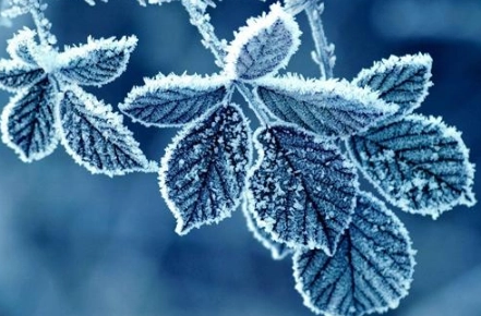 1571024833498003.png image.png