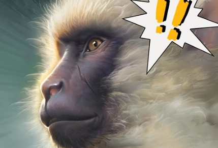 1574921095830227.png image.png