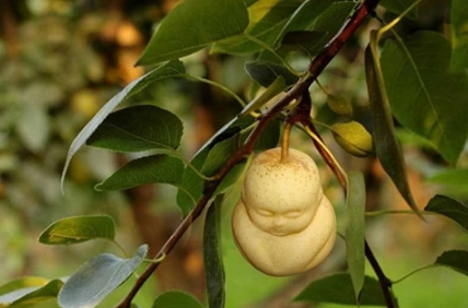 1575359847443761.png image.png