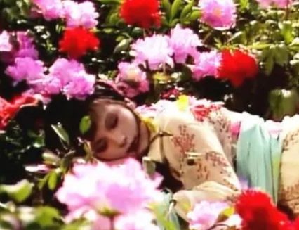 1679282084960355.png image.png